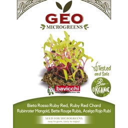 Bavicchi Semi di Germogli di Bieta Rossa Ruby Red - 15 g