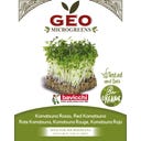 Bavicchi Semi di Germogli di Komatsuna Rosso Bio - 15 g