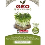 Bavicchi Semi di Germogli di Komatsuna Rosso Bio