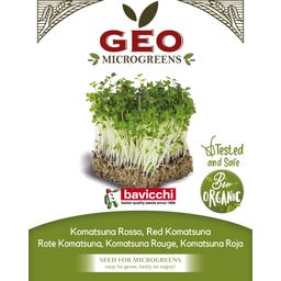 Bavicchi Semi di Germogli di Komatsuna Rosso Bio - 15 g