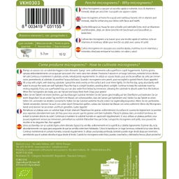 Semi di Germogli di Cavolo Rapa Delikatess Blauer Bio - 15 g