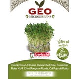 Semi di Germogli di Cavolo Rosso di Russia Bio