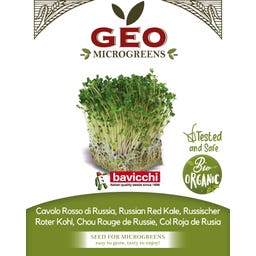 Semi di Germogli di Cavolo Rosso di Russia Bio - 15 g
