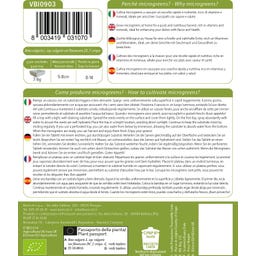 Bavicchi Semi di Germogli di Bieta Rossa Ruby Red - 15 g