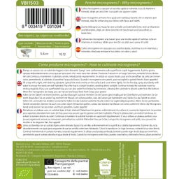 Bavicchi Semi di Germogli di Bieta Chioggia Bio - 15 g