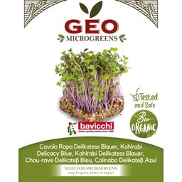 Semi di Germogli di Cavolo Rapa Delikatess Blauer Bio - 15 g