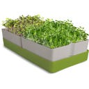 GEO Smart Greens - Kit per Coltivare Microgreens - 1 set