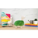 Gift Republic Green Lama