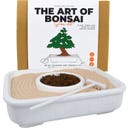 Gift Republic Die Kunst des Bonsai - Pflanzset