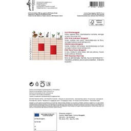 Semenarna Ljubljana Buschbohnensamen 