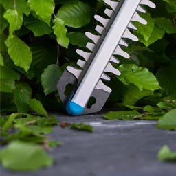 Akku-Heckenschere EasyCut 55/18V P4A solo