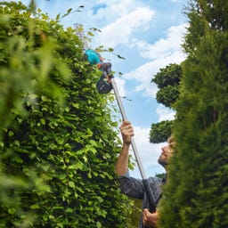 Batteridrivet Grässaxset PowerCut 20/18V P4A Solo
