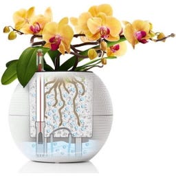 Lechuza Vaso de mesa PURO Color 20 - Branco