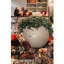 Lechuza Vaso de mesa PURO Color 20 - 1