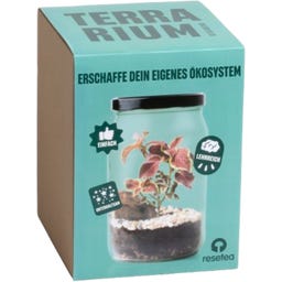 resetea Terrarium - 1 Set