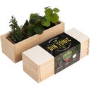 Gin Tonic - zestaw do uprawy - 1 zestaw