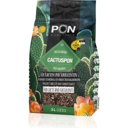 Cactuspon - 3 l