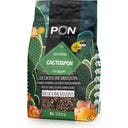 Cactuspon - 6 l