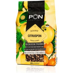 Citruspon - 25 l