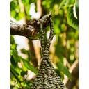 Garden Trading Casetta per U in Zostera - Rosemary - 1 pz.