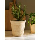 Garden Trading Blumentopf 