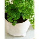 Garden Trading Positano Blumentopf weiß - 13,5 cm