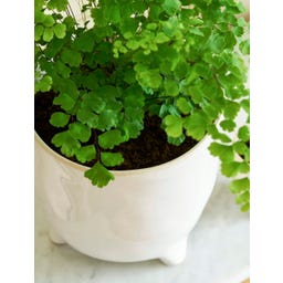 Garden Trading Positano Blumentopf weiß - 13,5 cm