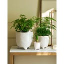 Garden Trading Positano Blumentopf weiß - 13,5 cm