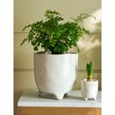 Garden Trading Positano Blumentopf weiß - 13,5 cm