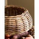 Garden Trading Gemüsebehälter 