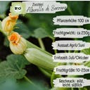 Loveplants Zucchina Bio - Alberello di Sarzana - 8 semi