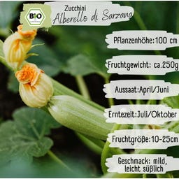 Loveplants Zucchina Bio - Alberello di Sarzana - 8 semi