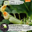 Loveplants Zucchina Bio - Alberello di Sarzana - 8 semi