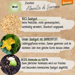 Loveplants Zucchina Bio - Alberello di Sarzana - 8 semi