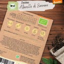 Loveplants Zucchina Bio - Alberello di Sarzana - 8 semi