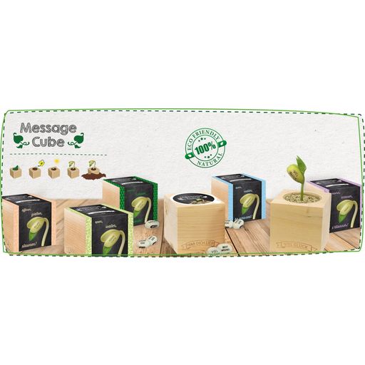 Feel Green Message Cube - Buon Compleanno - 1 pz.