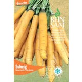 ReinSaat Carota - Solveig