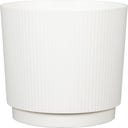 Vaso Lino - Bianco Gesso