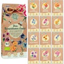 Loveplants Set di Semi Bio - Fiori per Api - 1 set