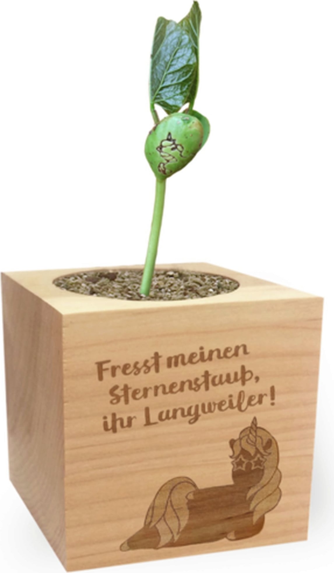 Green Celebrations 