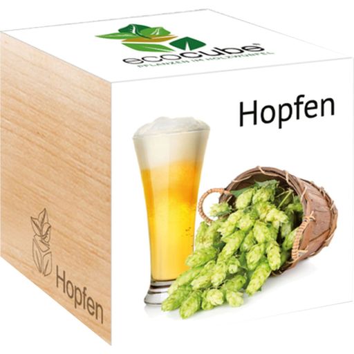 Feel Green ecocube "Hopfen" - 1 Stk.