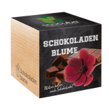 Feel Green ecocube Chocolademargriet