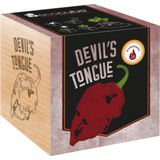 Feel Green ecocube Devils Tongue