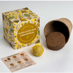 Wszystkiego najlepszego - zestaw do uprawy