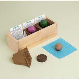 Gin Tonic - zestaw do uprawy