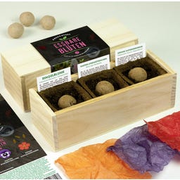 Kwiaty jadalne - zestaw do uprawy