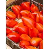 TROPICA Tomate "Andine Cornue-Andenhorn"