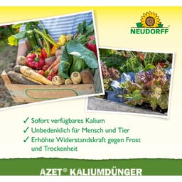 Neudorff Azet Kaliumdünger - 2 kg