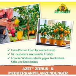 Neudorff Azet Zitrus- & Mediterran PflanzenDünger