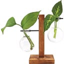 WINKEE Hydro Vase Fleur